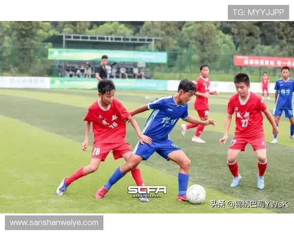 足球新星榜全：新生代球员表现稳健，多位小将状态持续提升