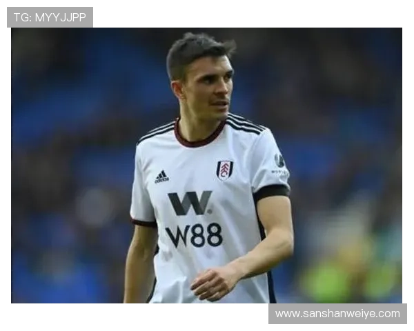 帕利尼亚:从纯破坏到出球型后腰的数据进化分析 帕利尼亚:从纯破坏到出球型后腰的数据进化分析